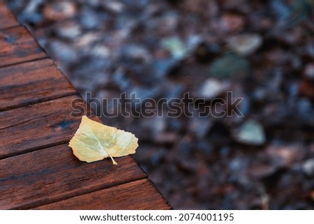 A small yellow leaf falling on a brightly colored, intense wooden table, with blur in the background, seen from above. concept of rain, winter and humid environment in strong vintage tones, dark mood.