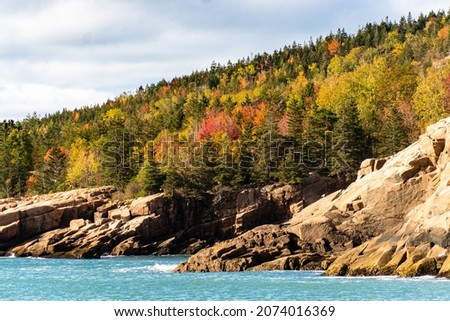 Acadia national park with trees changing colors in fall