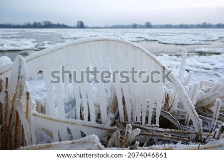 Beautiful natural phenomenon - ice covered branches and long icicles on woods on the coast at the Vistula mouth to the Baltic, Sobieszewska Island, Poland
