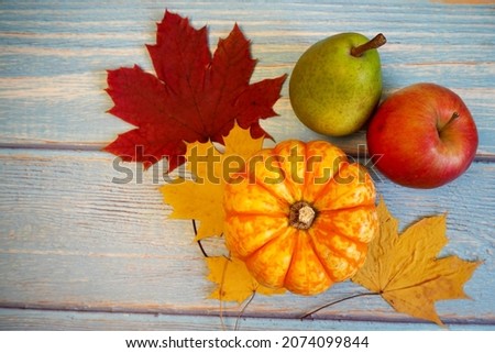 a small yellow pumpkin, a red apple and a green pear on yellow and red maple leaves on a blue wooden background. top view