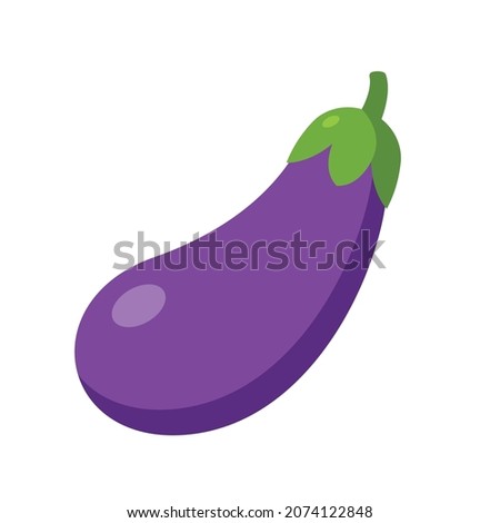 eggplant brinjal aubergine vector illustration Royalty-Free Stock Photo #2074122848
