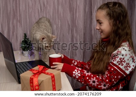 A beautiful young girl sits on the table and looks at the laptop. Next to the British cat. Christmas. New Year.