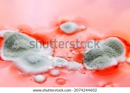 Fungal spores in the liquid. Viral bacterium in the blood.Fungal infection. Distribution and multiplication of fungi and bacteria. Virus attack Royalty-Free Stock Photo #2074244602