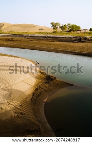 Water source in the desert