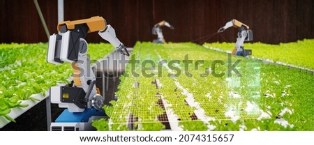3D robot and robot arms in agricultural industry robotics solutions technology revolution, robot weeding harvesting nursery  organic farm fully automated artificial intelligence smart virtual control Royalty-Free Stock Photo #2074315657