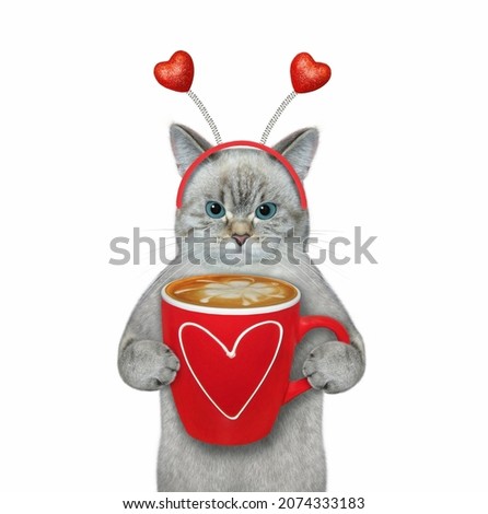 An ash cat drinks latte. White background. Isolated.