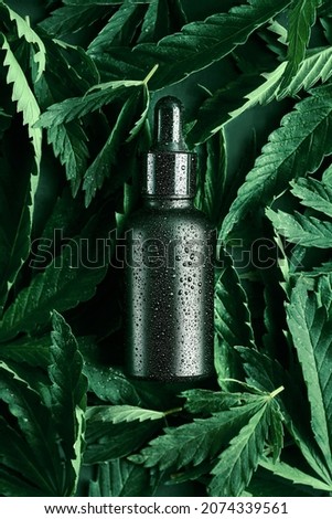 A black cosmetic bottle for oils with water drops lies on the background of hemp leaves. Mock up, top view Royalty-Free Stock Photo #2074339561