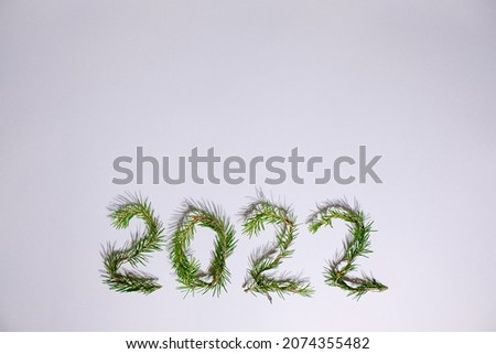 Numbers 2022 made from Christmas tree branches isolated on white wall. The symbol of the New Year. Copy space. 