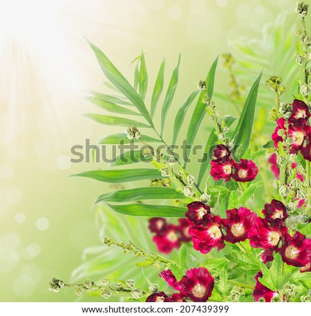 Flowers border with red mallow on sunny background with bokeh