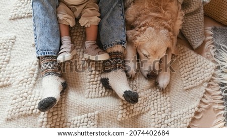 Woman or man and baby legs and cute golden retriever dog on carpet. Family relax time. Winter Christmas holidays and hygge concept.  Atmospheric moments lifestyle. Royalty-Free Stock Photo #2074402684