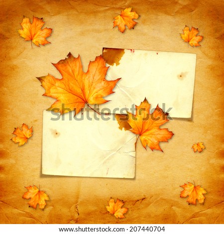 Grunge paper design in scrapbooking style with photoframe and autumn foliage 