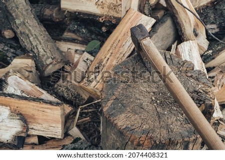 The ax lies on the wood. Firewood chopping. Preparation of firewood for the winter. Iron ax with wooden handle