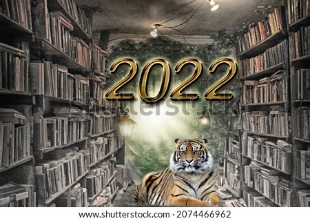 New Year pictures .Tiger, bookshelves, abstraction, fantasy,holidays