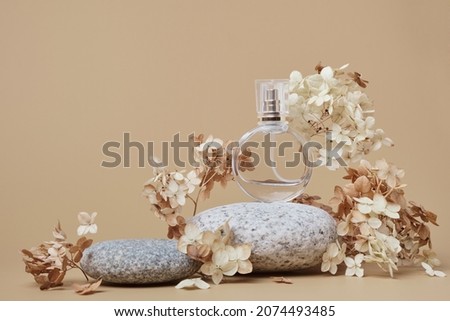 Round Perfume bottle mockup on beige background. Pebble podium and dry hydrangea flowers. Natural earthy colors, copy space Royalty-Free Stock Photo #2074493485
