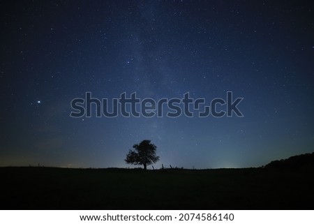 Lone tree on a hill on a clear night with stars and milky way above it in Lympne, Kent.