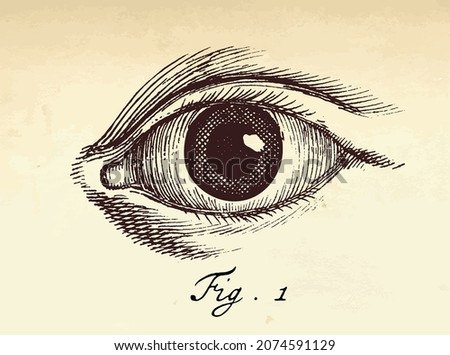 Vector human eye illustration in vintage etching halftone style.