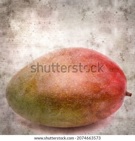 square stylish old textured paper background with ripe mango fruit from Gran Canaria
