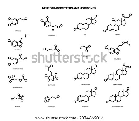Set of chemical formulas of hormones and neurotransmitters in brain. Serotonin and dopamine icons. Physiological processes in the human body. Adrenaline and acetylcholine molecules vector illustration Royalty-Free Stock Photo #2074665016