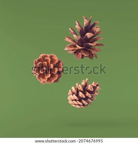 Christmas card conception. Pine cones falling in the air isolated on green background. Levitation concept.