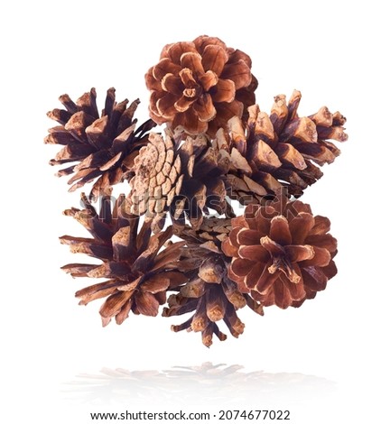 Christmas card conception. Pine cones falling in the air isolated on white background. Levitation concept.