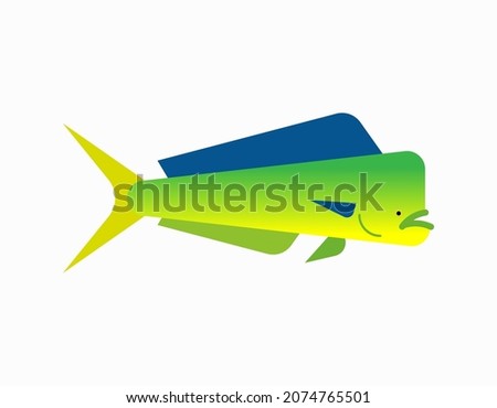 Dorado fish isolated. Mahi Mahi saltwater fish. vector illustration