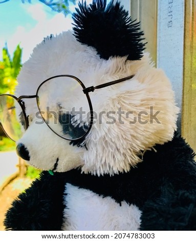 cute panda doll, taking pictures during the day