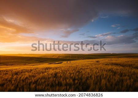 Splendid scene of agricultural land in the sunlight in the evening. Location place of Ukrainian agrarian region, Europe. Scenic image of dramatic light. Perfect natural wallpaper. Beauty of earth. Royalty-Free Stock Photo #2074836826