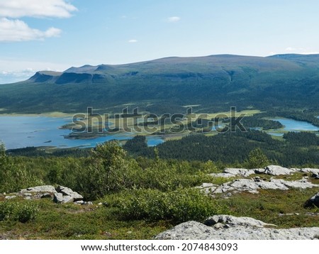 View on meandering Rapadalen river delta to Lajtavrre lake, valley in Sarek national park, Sweden Lapland. Nordic wild landscape with mountains, hill, rocks and birch trees. Summer sunny day, blue sky