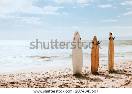 Summer wallpaper background surfboards at the beach, warm tone Royalty-Free Stock Photo #2074845607