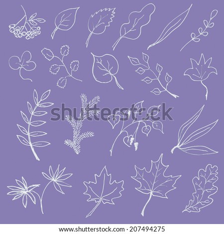 Set of hand drawn leaves
