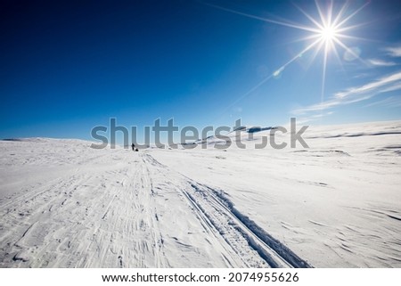 Ski expedition in Dovrefjell National Park, south Norway. Royalty-Free Stock Photo #2074955626