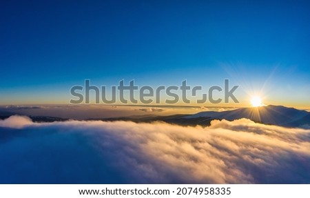 Beautiful bewitching view of mountains and rocks with spruce forest on a frosty winter evening with fog and sunset sun. Harsh winter nature concept