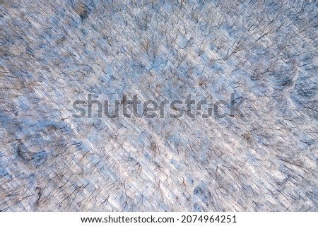 Winter forest photographed from a bird's eye view. Aerial photography, drone shot. Image template of textured wallpaper. Artistic photo. Abstract natural background with copy space. Beauty of earth.