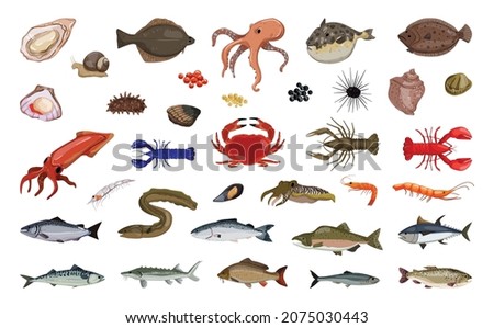 Vector collection of marine and freshwater fish and delicacies. Detailed illustrations.