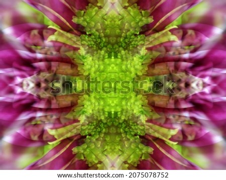 abstract image when photographing a flower in three mirrors