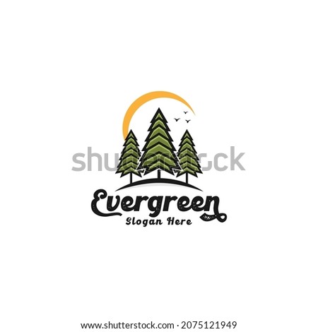 evergreen logo design, pine tree logo inspiration ,nature logo vector template