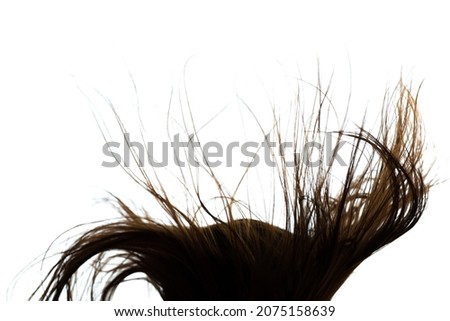 Abstract windy hair texture. Backlit silhouette on white background.