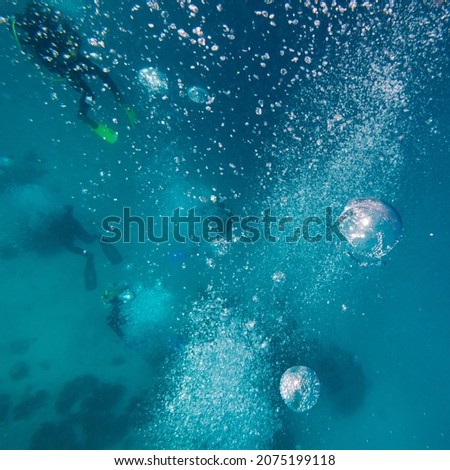 Scuba divers underwater, Turtle Bommie Dive Site, Great Barrier Reef, Queensland, Australia Royalty-Free Stock Photo #2075199118
