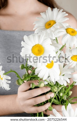 The Young girl in a grey dress holds a bouquet of white  daisies in her hands. Summer flowers Chamomile. in tender hands. Image with selective focus.