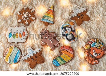 Flat lay set of colorful rainbow gingerbread cinnamon cookies with 2022 new year symbol tiger on christmas ligths background. Sweet present for Christmas day.