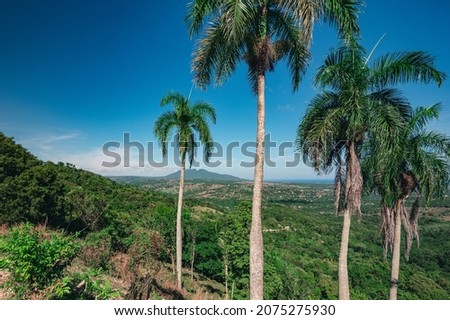 Hill view on palms tree. Panorama mountains with tropicals plants. Perfect tropical view on palms hill. Scene of carribbean mountain cordillera.