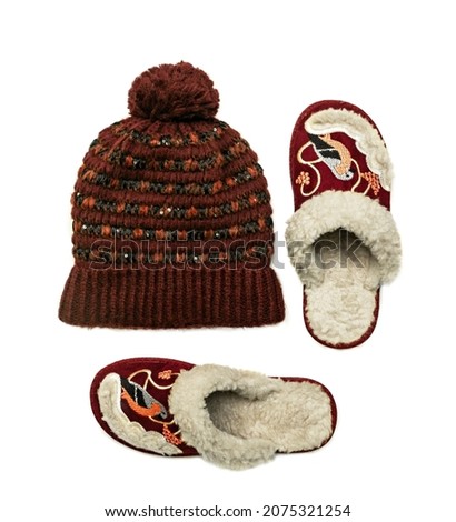 Warm hat and slippers isolated. Winter accessories
