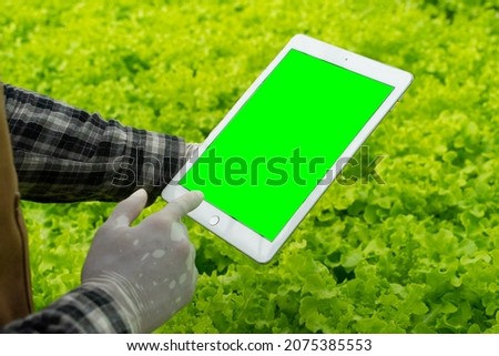 Farmer using smart tablet modern technology, digital tablet blank green screen, empty display use for application information and advertise. 
