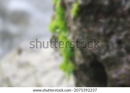 a blurry stone on the beach with selective focus