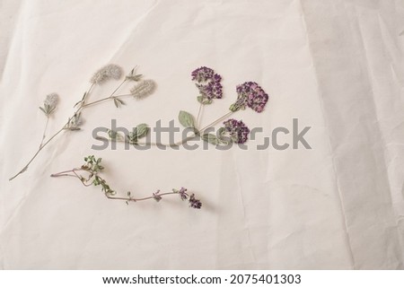 dried flowers on crumpled old paper