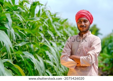 young indian farmer at corn field. Royalty-Free Stock Photo #2075426020
