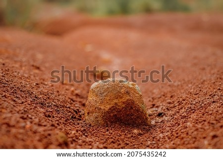 a stone lies on red soil