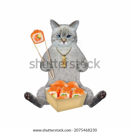 An ashen cat sits and eats sushi from a box of sushi with chopsticks. White background. Isolated.