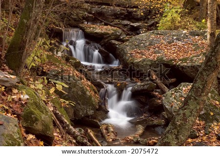 A small  cascade in the autumn forests of Virginia. Taken with a slow shutter speed to smooth and soften the water. The stream is framed with large boulders covered with the   leaves of autumn.