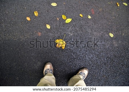 Autumn landscape, yellow leaf on asphalt road alongside photographer legs